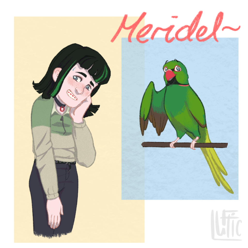 A shape-shifting Meridel by Luftic